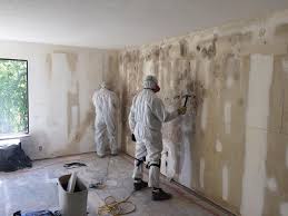 Best Black Mold Removal  in Columbia, KY